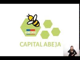 Sercotec abre convocatoria de capital abeja 2020. Como Postular Al Capital Abeja Sercotec Mira Este Tutorial Youtube