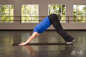 Ace Fit Exercise Downward Facing Dog Downward Facing Dog Exercise Arm Workout