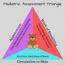 Image result for Pediatric Assessment Triangle