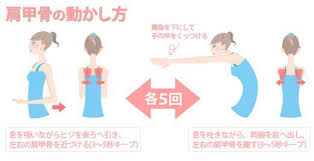 「肩甲骨はがし」の画像検索結果