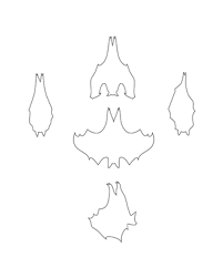 Bat Patterns Now your hanging bats are ready to go on display or be given to friends. bat patterns