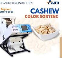 Cashew Nut Color Sorter Machine, Capacity: 100 kg/hr, Automation Grade:  Automatic