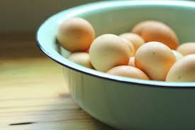 The cleaner your coop, the cleaner your eggs will be. Do You Have To Refrigerate Eggs The Prairie Homestead