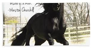 Winston Churchill Horse Quote Beach Towel For Sale By Carol Whitaker
