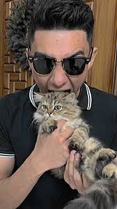 i love cat , •, •, •, #khalifahnasif #khalifahnasiff_