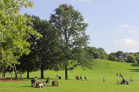 Check spelling or type a new query. Ausflugstipp Zu Besuch Im Britzer Garten Nabu
