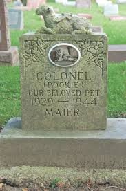 How to find cemetery near me. 100 Pet Cemetery Ideas Pet Cemetery Cemetery Grave Marker