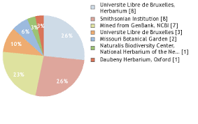 Image result for Strephonema mannii