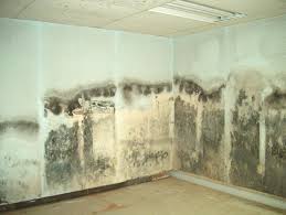 Penicillin Mold If Your Bathroom Or Any Part Of Your Home Looks Like This Be Sure And Give Us A Call Right Away Mold Remover Mold Remediation Types Of Mold