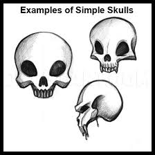 Animal alphabet letter w coloring pages. How To Draw An Easy Skull Coloring Page Trace Drawing