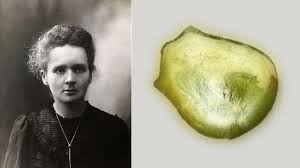 Toutes les infos sur la piscine pierre et marie curie à mulhouse : Photo Marie Curie