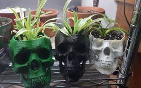 3d Kuru Kafa Cicek Saksisi Modeli 3d Prints