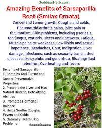 Check spelling or type a new query. Angemaya Amazing Benefits Of Sarsaparilla Root Facebook