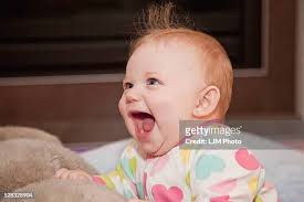 72 Grove Den Stock Photos, High-Res Pictures, and Images