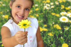 10,491 Daisy Smile Stock Photos