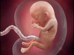 بماذا تشعرين عند نزول ماء الولادة وما هو شكل ماء الجنين بالصور مختلفون