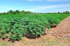Image result for MOST BEAUTIFUL PLACES IN KWARA STATE