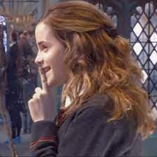 Hermione Granger Hermione Granger Harry Potter Cast Harry Potter Hairstyles