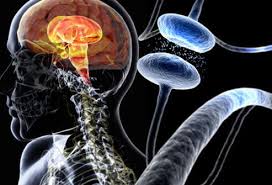 Tremors are common, but the disorder. Parkinson S Disease Symptoms Causes Stages Treatment
