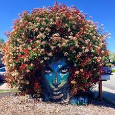 Prince Bush Courtesy Christinesaart Via Twitter Strit Art Novoe Iskusstvo Lend Art