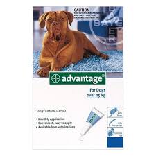 Just need to know the breakdown of the dosage amounts by weights, so that i may administer to all my dogs. Advantage For Dogs South Africa Advantage Flea Treatment Topical Treatment For Dogs