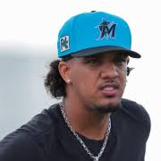 Korey Lee, Chicago White Sox, C