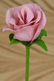 We did not find results for: Crepe Paper Long Stem Single Rose Papercraft Miracles Llc