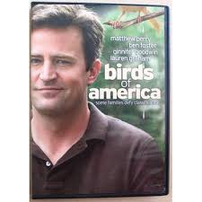 Dvd E Agora Meu Amor Matthew Perry