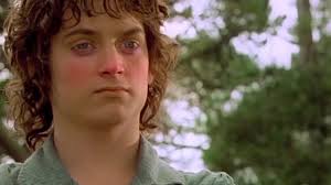 😂 Drunken and High Frodo