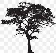 Browse 4,209 scary tree silhouette stock photos and images available, or start a new search to explore more stock photos and images. Silhouette Tree Royalty Free Clip Art Png 8000x4532px Tree Black And White Branch Drawing Illustration Download Free