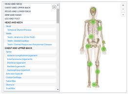 Studying human anatomy can be fascinating and challenging. 5 Best Free Anatomy Websites For Medical Students Beyond Willpeachmd