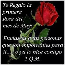 Rosa Roja Para Ti Quotes Maria Ortega Memes