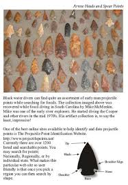 The Fossil Shark Tooth And River Diving Artifact Guide