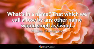 The company's name—his name—appeared only on a small sticker on the back of the plastic packaging, almost as an informational afterthought. William Shakespeare What S In A Name That Which We Call