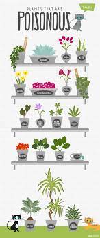 Pin By Dorothea Sorsa On Kot Porady Plants Cat Care Cat Garden