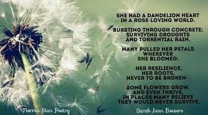 She Has A Dandelion Heart In A Rose Loving World Growing Flowers Dandelion Drought