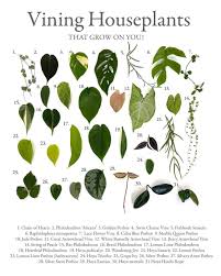 Pin On Gardening