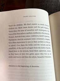 Her verses made us want to live life with a bit more zest, made mornings kind, and validated our inner wildness. Attention Is The Beginning Of Devotion In This Short Excerpt Mary Oliver Instructs Us On How Nature Quotes Inspirational Mary Oliver Poems Mary Oliver Quotes