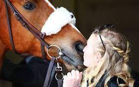 (début du xiie siècle) du latin populaire caballus, du gaulois *caballos qui signifiait au départ « cheval de trait ». Le Bien Etre Equin En Periode De Pandemie Le Parisien