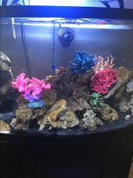 It will fake it to a news site Artificial Reef Reef2reef Saltwater And Reef Aquarium Forum