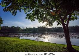 We did not find results for: Sunrise Over Lake Tasik Cempaka Bandar Stock Photo Edit Now 590147876