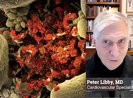 Do infections cause heart attacks? Lessons from COVID
