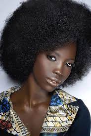 Natural Hair Rules Dark Skin Women Black Beauties Natural Hair Styles