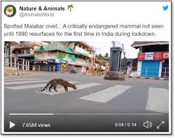 Covid has upended all the normal routines in our lives and work ...