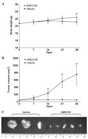 Chung l.w.k., isaacs w.b., simons j.w. Inhibition Of Tumor Growth And Histopathological Changes Following Treatment With A Chemokine Receptor Cxcr4 Antagonist In A Prostate Cancer Xenograft Model