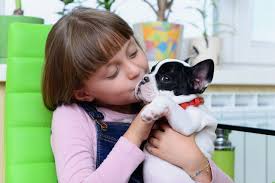 Più piccolo di taglia rispetto al suo cugino inglese, il bulldog francese date le sue dimensioni ridotte è più indicato quando non si dispone di grandi spazi. Cani Adatti Ai Bambini Le Razze Da Appartamento Magazine Delle Donne