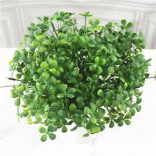 三葉草四葉草種子幸運草植物四季好種易活園林綠化庭院花草坪種籽 新沂市邵店鎮老庄戶果樹銷售部 2 年 回頭率： 9.6% å››è'‰è‰æ¤ç‰©åœ–ç‰‡ æµ·é‡é«˜æ¸…å››è'‰è‰æ¤ç‰©åœ–ç‰‡å¤§å…¨ é˜¿é‡Œå·´å·´