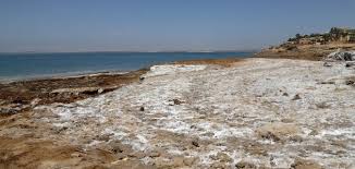 ما هو عنصر الصوديوم موضوع