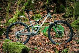 Image result for Orbea
