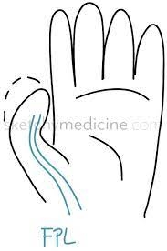Fpl hands you a £100m budget which you spend on your squad. Hand Exam Motor 1 13 Flexor Pollicis Longus Fpl Sketchy Medicine